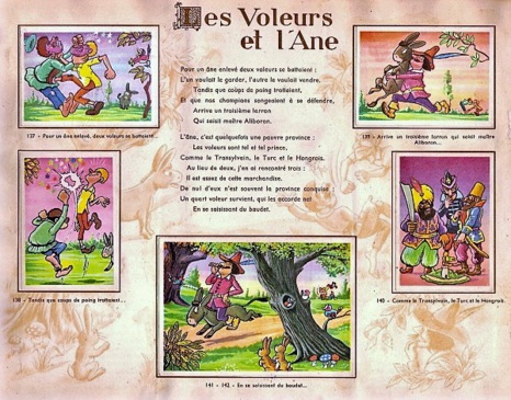 Hellébore ou ellébore ? Quelle hellébore? Hellébore ou ellébore ? Quelle hellébore?