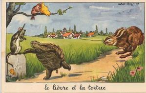 Hellébore ou ellébore ? Quelle hellébore? Hellébore ou ellébore ? Quelle hellébore?