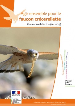 Faucons crécerellettes ou éoliennes tueuses de rapaces, il va falloir choisir…