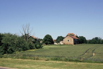 Plateau de Saclay (Photo JFD)