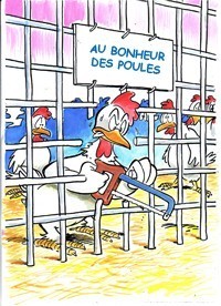 Palace quatre étoiles pour les poules pondeuses à partir du 1 Janvier 2012 ?