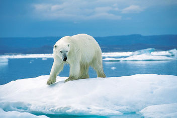 Climat : un petit coup de chaud, c’est agréable….