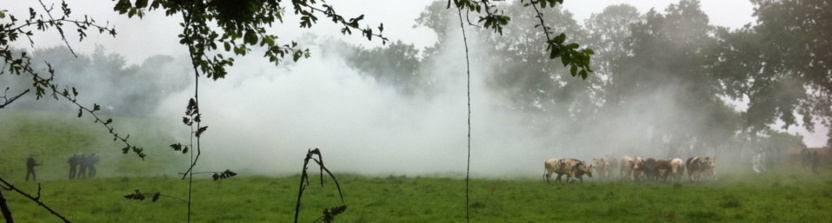 Le Chefresne : les gaz lacrymogènes, les vaches entre gendarmes et manifestants