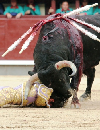 La corrida ne sera pas abolie. La torture en public d’un taureau est conforme à la constitution… La corrida ne sera pas abolie. La torture en public d’un taureau est conforme à la constitution…