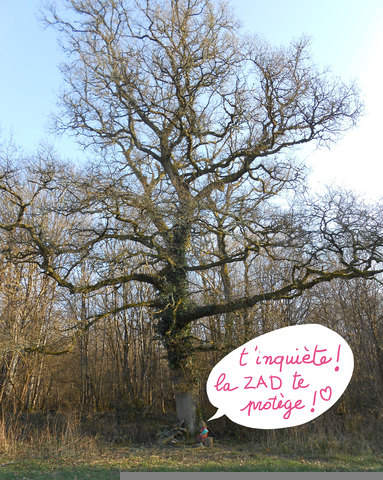 On avait Notre Dame des Landes, avec le Bois du Tronçay, voici Notre-Dame des Bois ! On avait Notre Dame des Landes, avec le Bois du Tronçay, voici Notre-Dame des Bois !