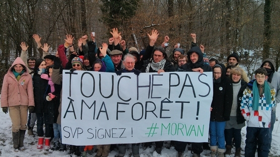 On avait Notre Dame des Landes, avec le Bois du Tronçay, voici Notre-Dame des Bois !