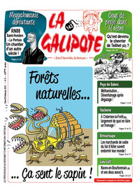 En Auvergne comme ailleurs, pour les forêts naturelles, ça sent le sapin. En Auvergne comme ailleurs, pour les forêts naturelles, ça sent le sapin.