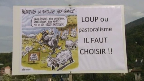 Sur les terres hantées par le loup, gare aux patous ! Sur les terres hantées par le loup, gare aux patous !