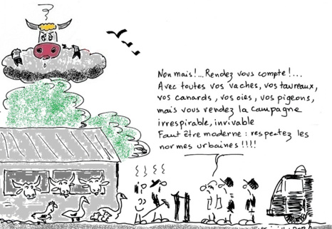 Oui aux 10 vaches, Non aux 1000 vaches!