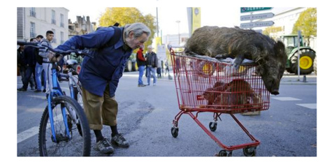 Les agriculteurs de la FNSEA sont-ils au-dessus des lois ? Les agriculteurs de la FNSEA sont-ils au-dessus des lois ?