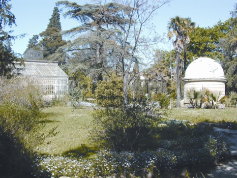Stoppons le démantèlement du plus ancien jardin botanique de France !