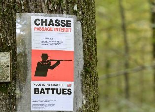 Encore un promeneur tué par un chasseur !!! Encore un promeneur tué par un chasseur !!!
