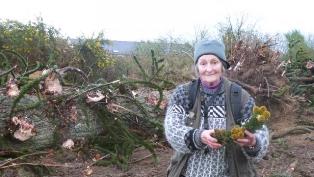 Christiane Peltier-Bernardini devant l'araucaria abattu