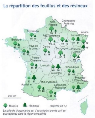 Gestion des forêts françaises et changement climatique.