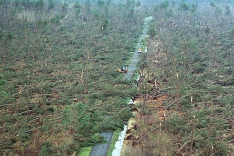 La forêt de Vendays-Montalivet en Gironde après le passage de la tempête de 1999