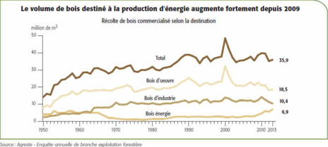 Gestion des forêts françaises et changement climatique.