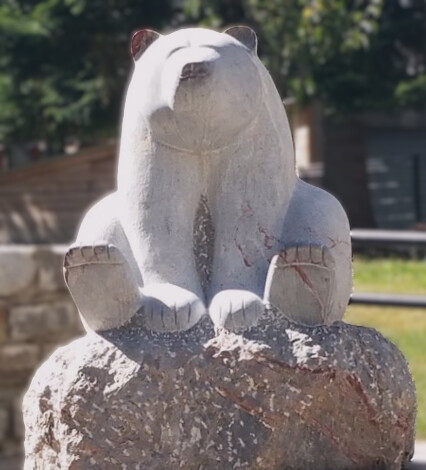 Des ours dans le Pyrénées, aujourd’hui quel intérêt ?