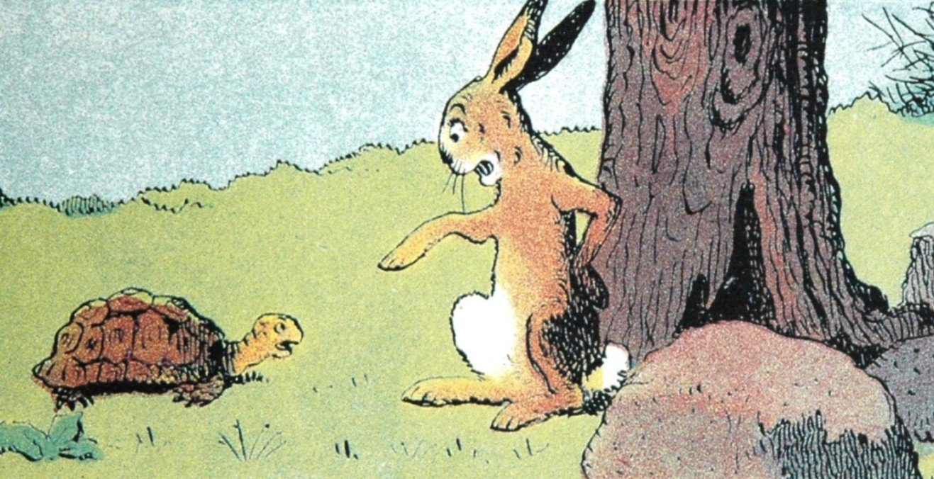 Hellébore ou ellébore ? Quelle hellébore? Hellébore ou ellébore ? Quelle hellébore?