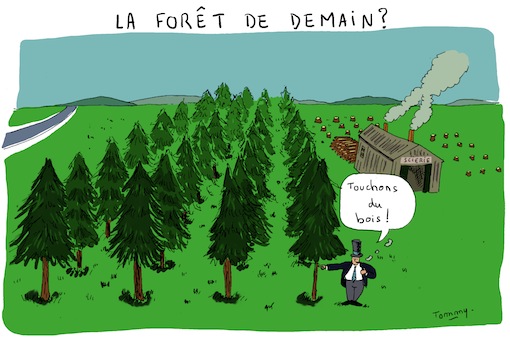 Gestion des forêts françaises et changement climatique.