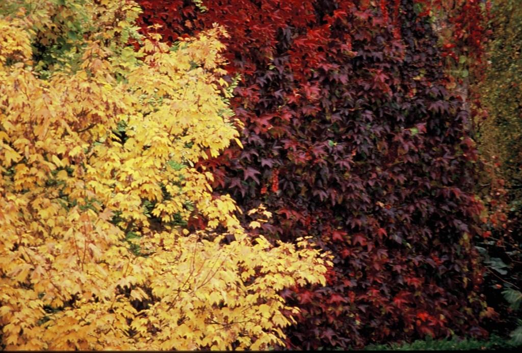 Boulevard Jean-Jaurès Boulevard Jean-Jaurès