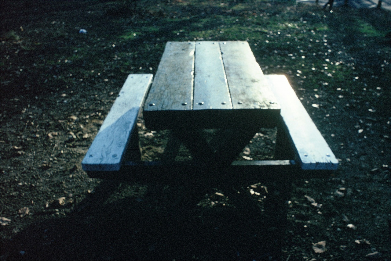 Sans titre. En bordure d'une forêt en Île de France Sans titre. En bordure d'une forêt en Île de France
